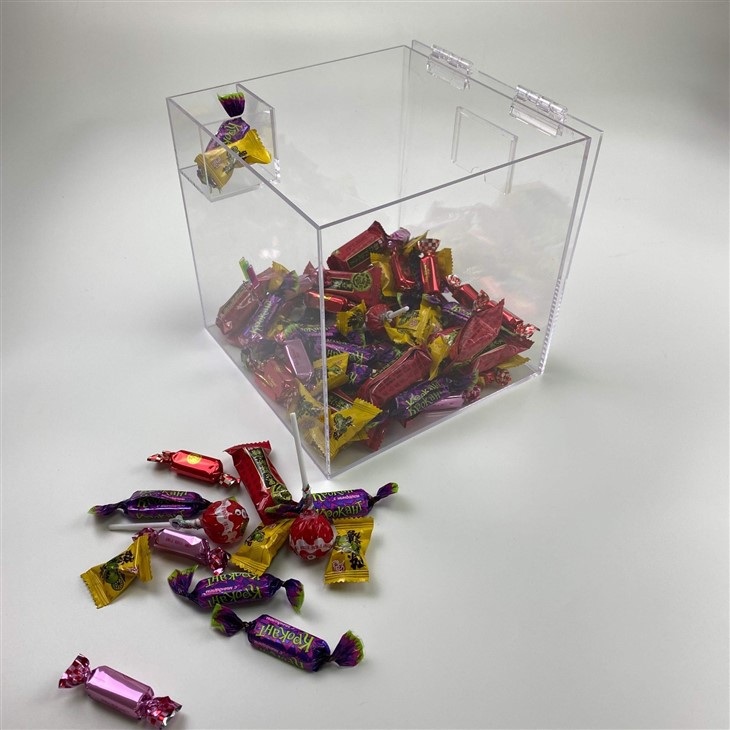 food Organization Container