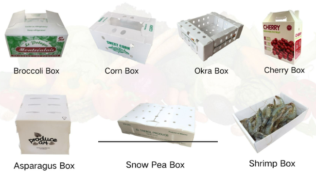 Friut Vagatable Use Friut Vagatable Use