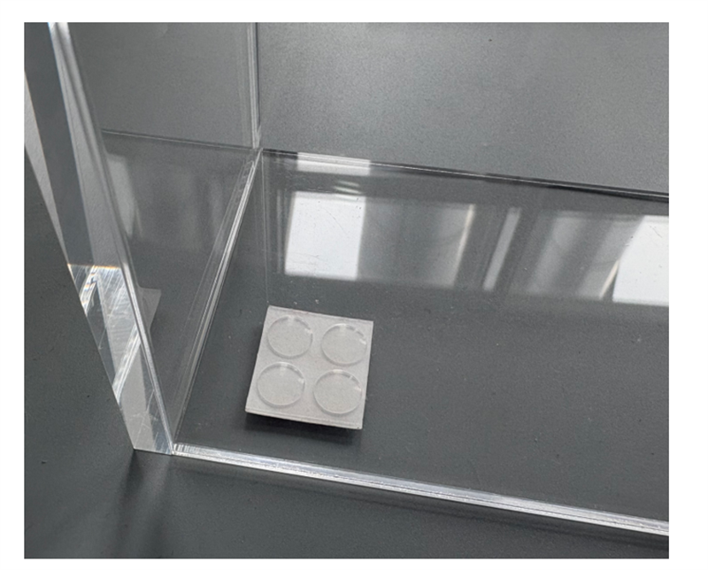 QQ20251025-155913 QQ20251025-155913